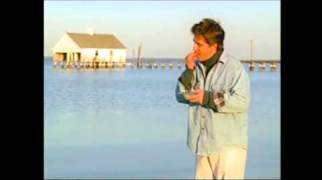 Embedded thumbnail for Save the Crabs