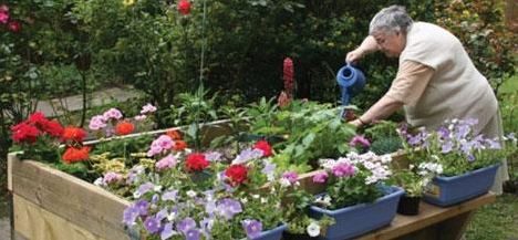 Tower Hamlets gardening